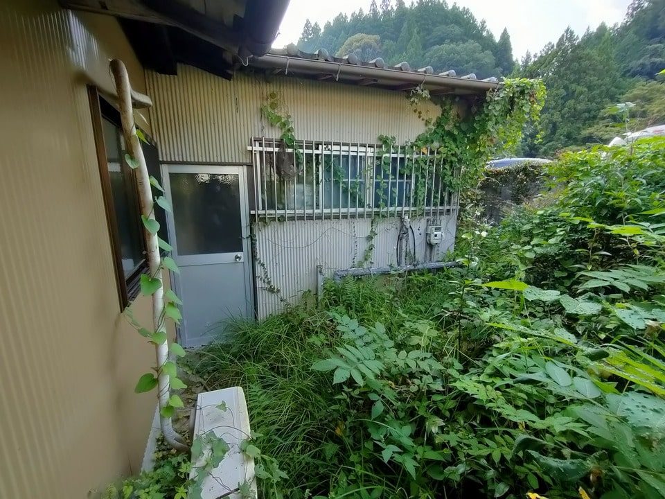 庭