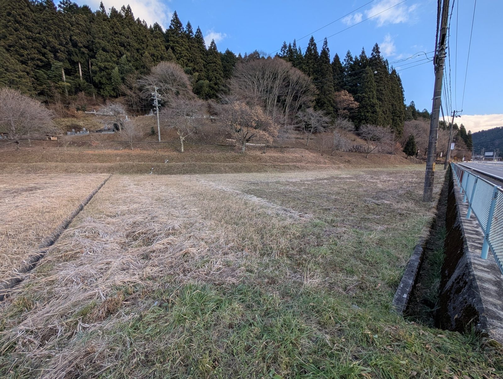 田1