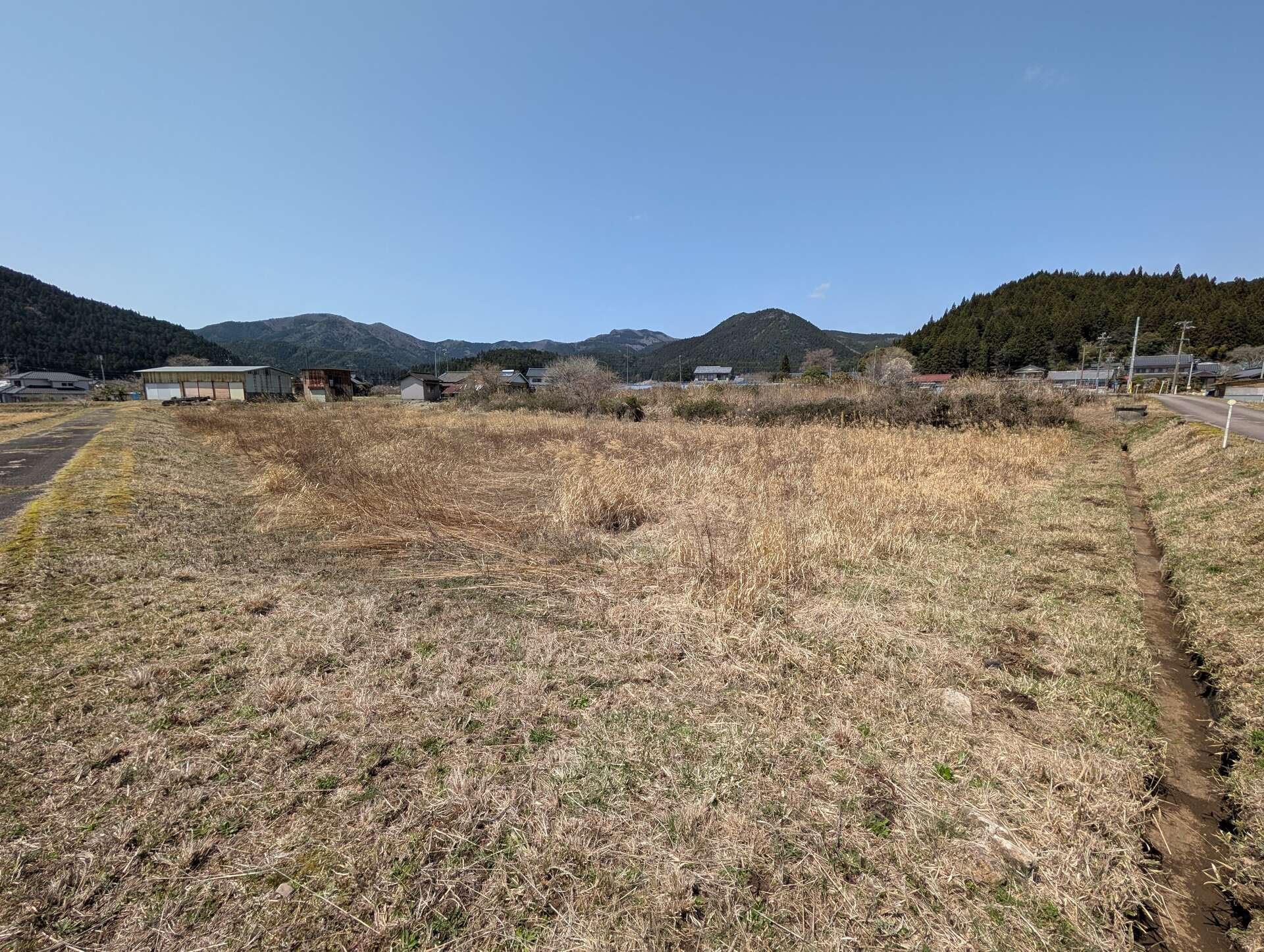田